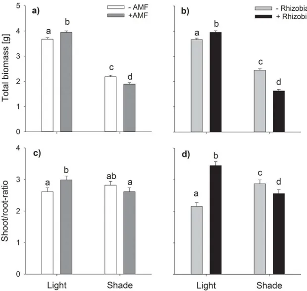 Fig 3. Interacting effects of varying light conditions and AMF colonization on total biomass (a) and shoot/root- shoot/root-ratio (c) and interacting effects of varying light conditions and rhizobial nodulation on total biomass (b) and shoot/root-ratio (d)