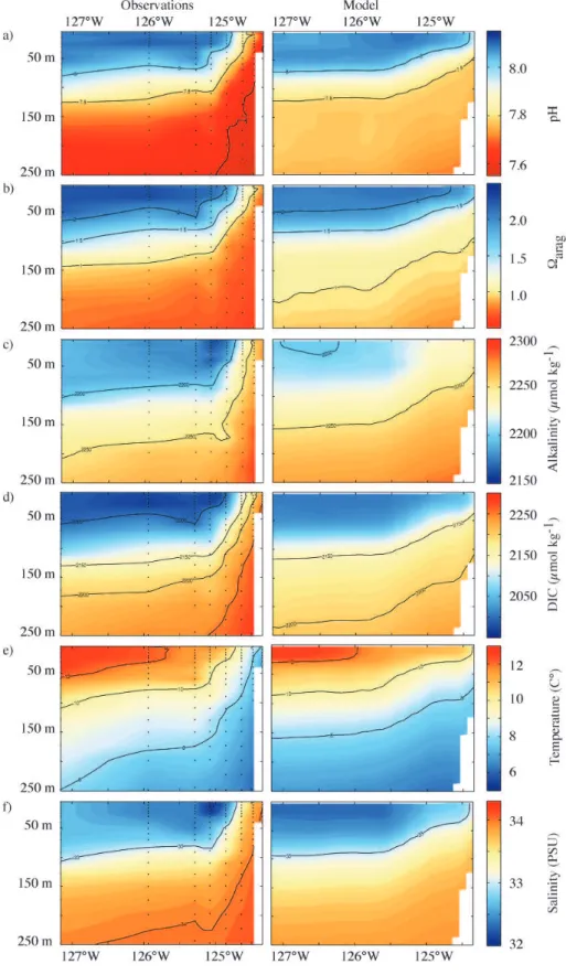 Fig. 4. Vertical sections of (a) pH, (b)  arag , (c) alkalinity, (d) DIC, (e) temperature and (f) salinity of observations (left, Feely et al., 2008) and the corresponding model output (right), off Pt