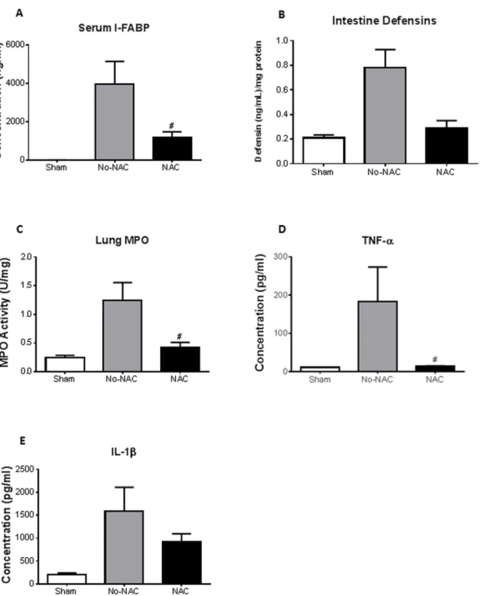 Fig. 5. NAC reduces oxidative injury. To determine the mechanism behind distal organ injury, mice were pretreated intraperitoneally with, N-acetyl- N-acetyl-cysteine (NAC)