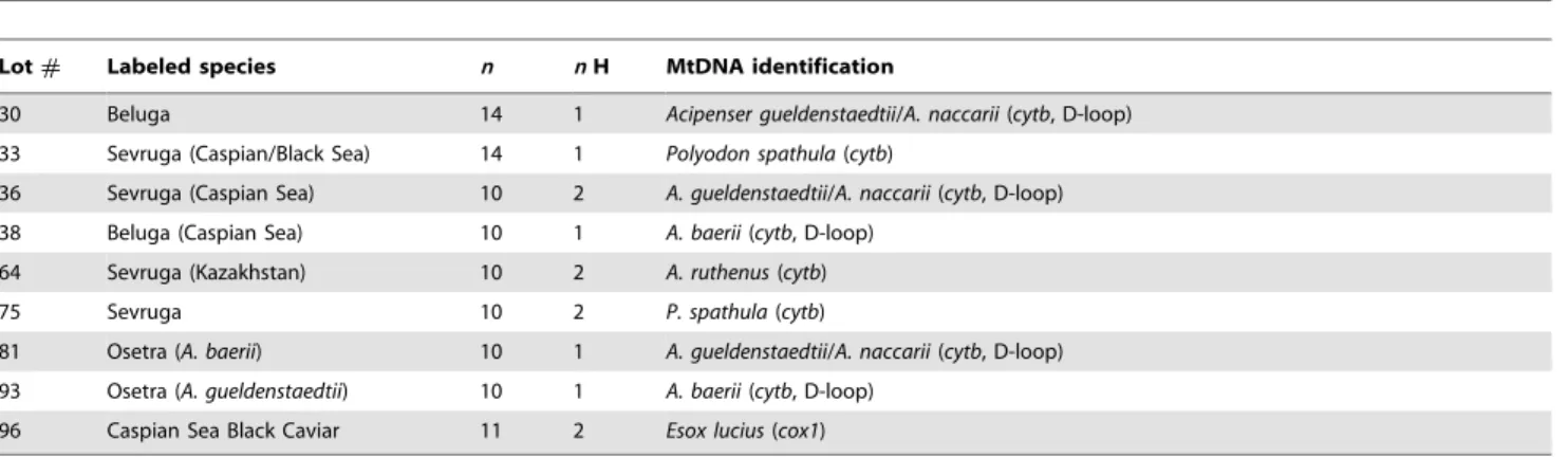 Figure 3. Best maximum likelihood phylogenetic tree of all D-loop sequences from this study