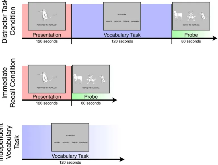 Fig 1. Tasks completed by subjects in the experiment. See Materials and Methods for details.
