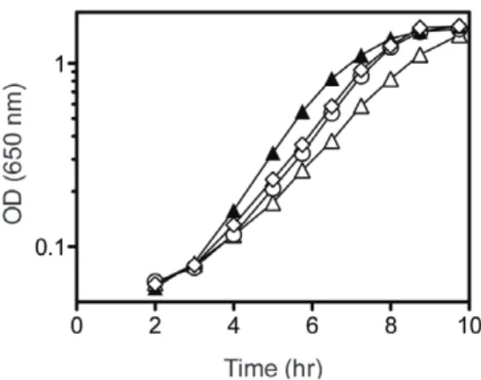 Figure 3. Suppressor mutations increase growth in purF ridA strain background. Strains were grown at 37uC in minimal glucose medium with adenine (open symbols) or further supplemented with 0.3 mM threonine (closed symbols)