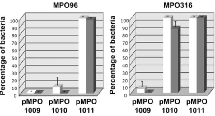 Figure 6. Salmonella detection by microscopy and flow cytometry analysis. Visualization of HeLa cells infected with the MPO96 (A) or 14028 (C) strains using the Confocal Microscope Leica SPE (630X)