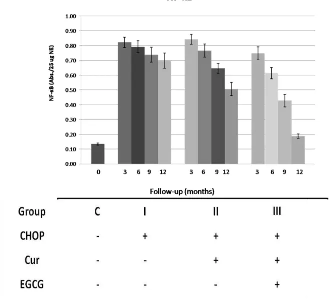 Figure 2: Results of the comparable groups in means ± SEM, constitutive active NF- κB levels As  we  can  see  from  figures  1  and  3  the  combination  of  curcumin  with  EGCG  resulted  in  a  synergistic antitumor activity  and that with  CHOP agents