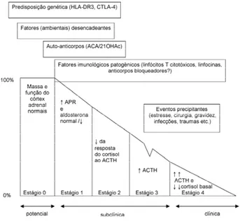 Figura 2. História natural da insuficiência adrenal primária de etiologia auto-imune (referência 2).