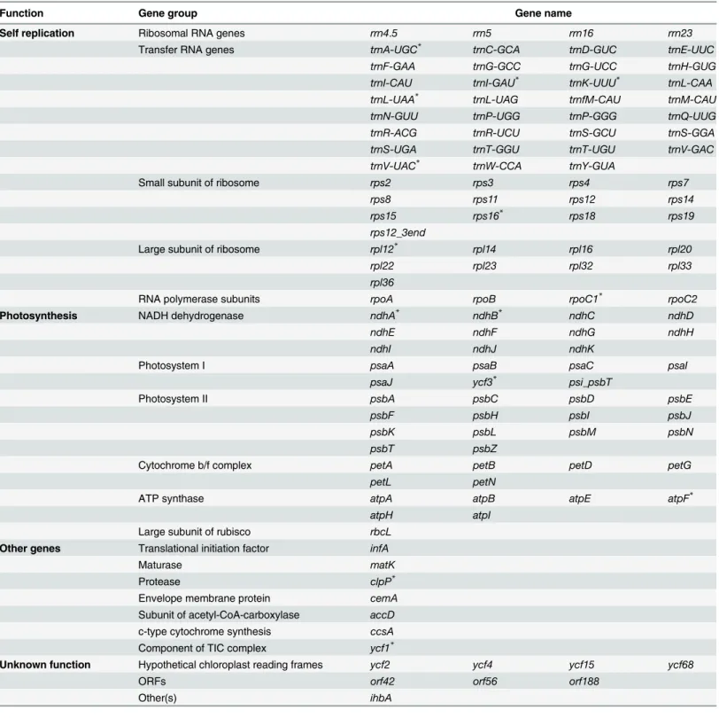 Table 2. One hundred and twenty-one genes contained within the chloroplast genome of Tanaecium tetragonolobum (Jacq.) L.G