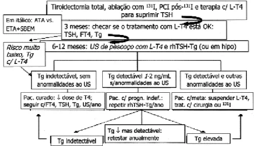 Figura 1. Algoritmos para o seguimento dos pacientes com carcinoma diferenciado da tiróide (CDT) depois do tratamento ini- ini-cial de acordo com diretrizes da ATA, ETA e SBEM