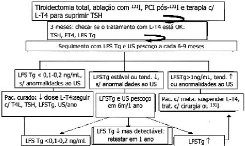 Figura 2. Proposta de algoritmo utilizando sTg com melhor sensibilidade funcional (LFS) para o seguimento de pacientes com CDT após o tratamento inicial.