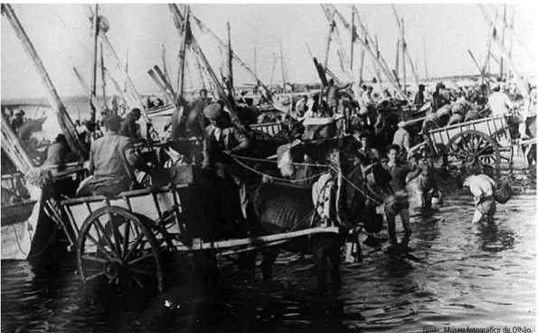 Figura 5    |   Descarga de peixe na Rampa do Caduca, nos anos de 1920.