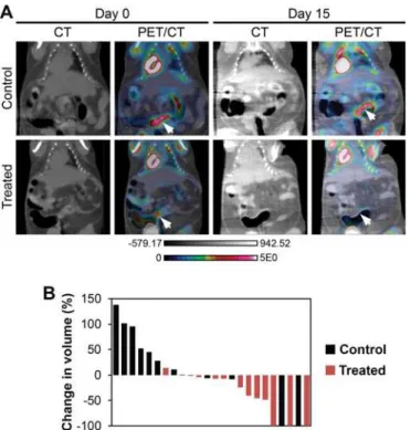 Fig 5. Dual PI3K/mTOR inhibition induces treatment responses in Fc + Pik3ca H1047R colon cancers