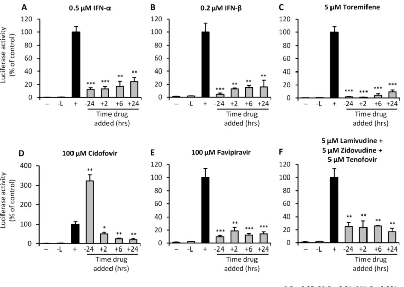 Fig 1. IFNs, toremifene, and nucleoside analogs inhibit trVLP replication. 293 T cells were either left untreated (-), transfected with the mini-genome and the nucleocapsid plasmids NP, VP30, VP35 and T7 (-L), or transfected with the mini-genome and all ex