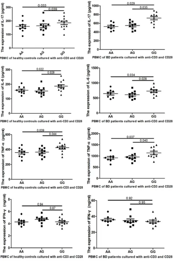 Fig 2. The IL-17, IFN-γ, TNF-α and IL-6 expression levels of peripheral blood mononuclear cells (PBMC) obtained from healthy individuals and patients with Behcet ’ s disease with the rs17375018 AA, AG and GG genotypes.