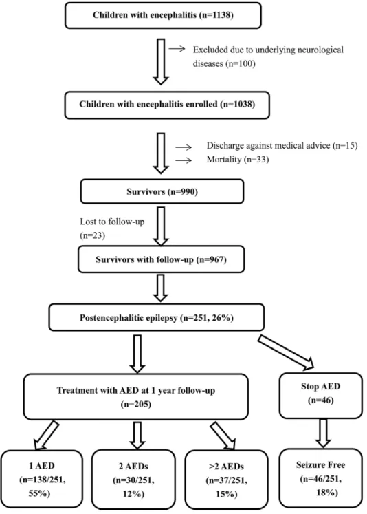 Fig 1. Flow diagram of children with postencephalitic epilepsy.