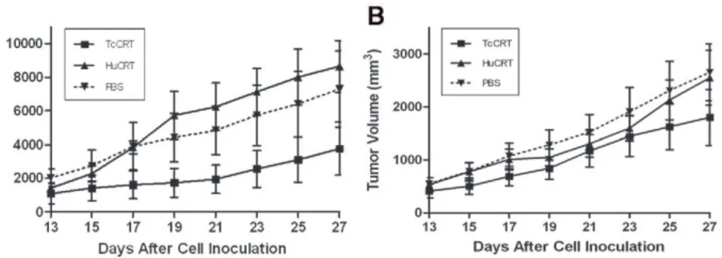 Figure 6. TcCRT inhibits the development of a murine A/J mammary tumor (TA3 MTXR). Two in vivo experiments, performed six months apart, are shown (A–B)