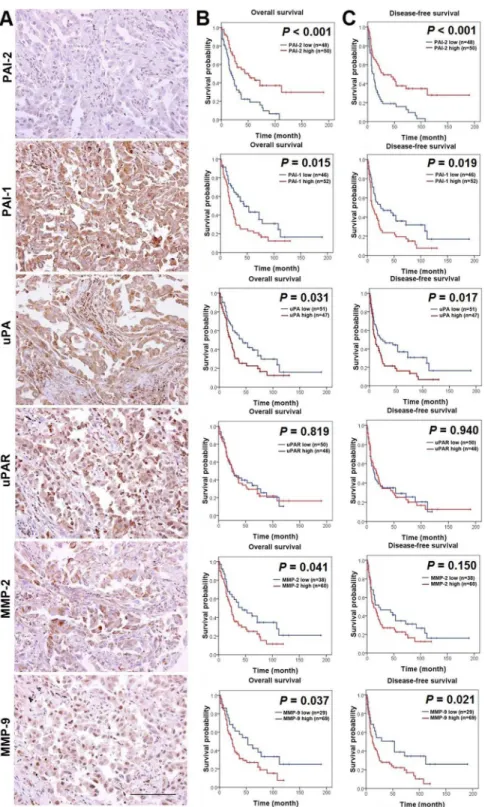 Fig 1. The prognostic value of markers in PA and MMP families in derivation cohort with 98 NSCLC cases