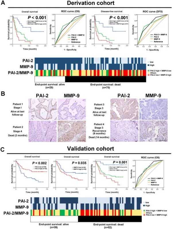 Fig 2. An IHC panel comprising PAI-2 and MMP-9 provides a more precise prognostic predictive power for 98 NSCLC patients in derivation cohort and 91 NSCLC patients in validation cohort