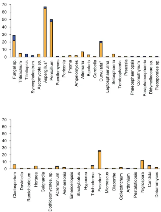 Fig 2. BLAST search results. Genus-level frequency distributions of isolates based on best BLAST matches for the barcodes produced in this study