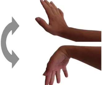 Figura 10 - Exercício de aquecimento do pulso, com movimentos verticais.