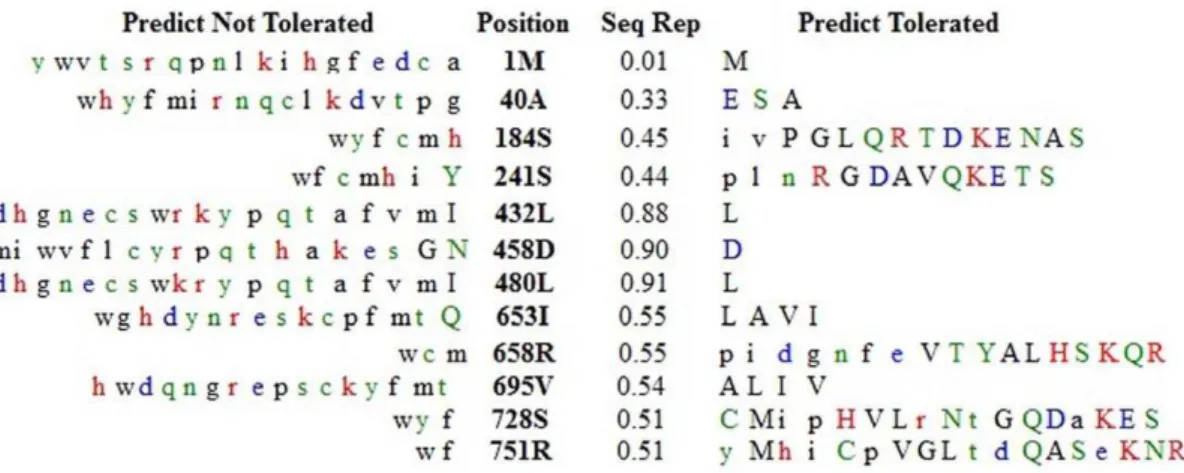 Table 1. List of nsSNPs predicted by SIFT as Not Tolerated.