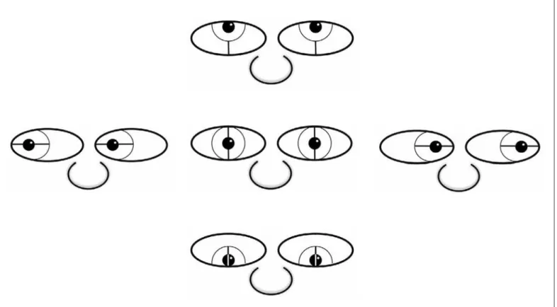 Figure 2 - Standard measurements of the digital photos