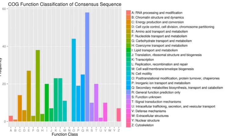 Figure 3. Cluster of orthologous groups (COG) classification. In total, 279 of the 7,428 sequences with Nr hits were grouped into 22 classifications.