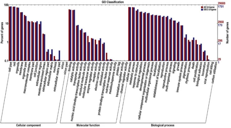 Figure 4. Functional annotation of assembled sequences based on gene ontology (GO) categorization