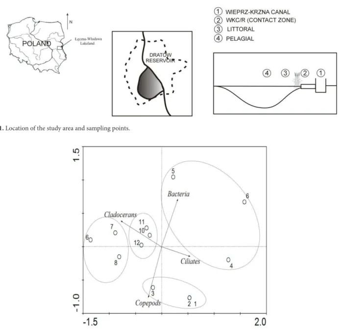 Fig. 2. Principal component analysis (PCA) biplots for axes 1 and 2 showing planktonic communities and study sites