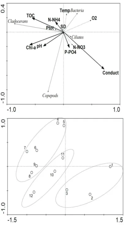 Fig.  3.  Redundancy  analysis  (RDA)  biplots  showing:  A)  planktonic  communities  and  environmental  variables,  B)  studied  habitats