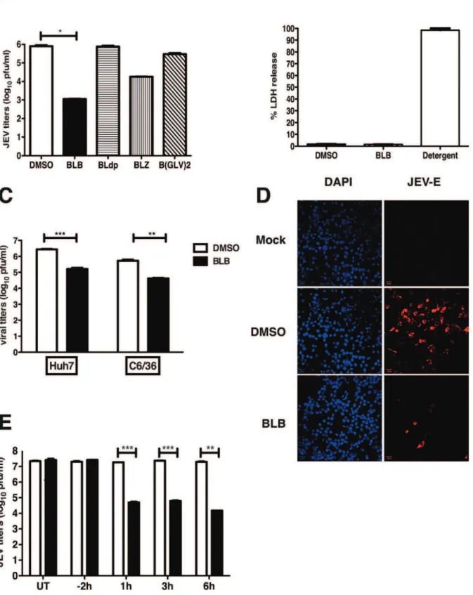 Figure 2. Effect of Bispidine derivatives on JEV infection. (A) Viral titers were determined by plaque assay of N2A cell culture supernatants (22 h pi) infected with JEV and treated with 100 mM of derivatives of bispidine