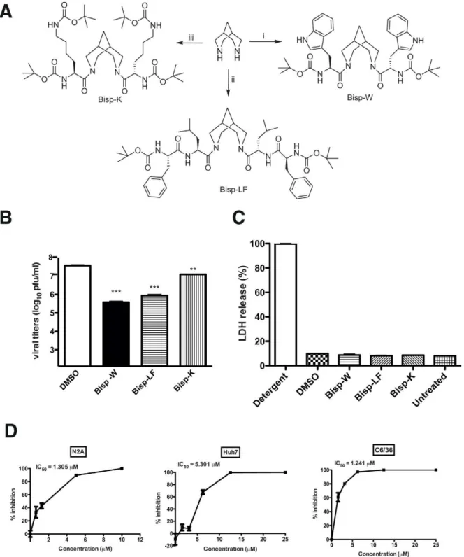 Figure 3. Synthesis of amino acid conjugates of bispidine. (A) Structure of bispidine conjugated with tryptophan (Bisp-W), lecine+phenylalanine (Bisp-LF) and lysine (Bisp-K)