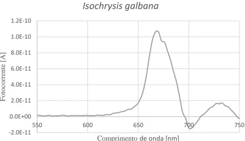 Figura 5.5. Espectro de fluorescência usando o LED como fonte emissora de luz da  espécie Isochrysis galbana.