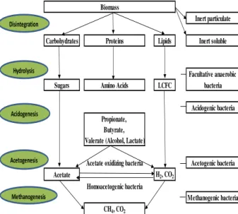 Fig 2: Degradation steps of the anaerobic digestion process. 