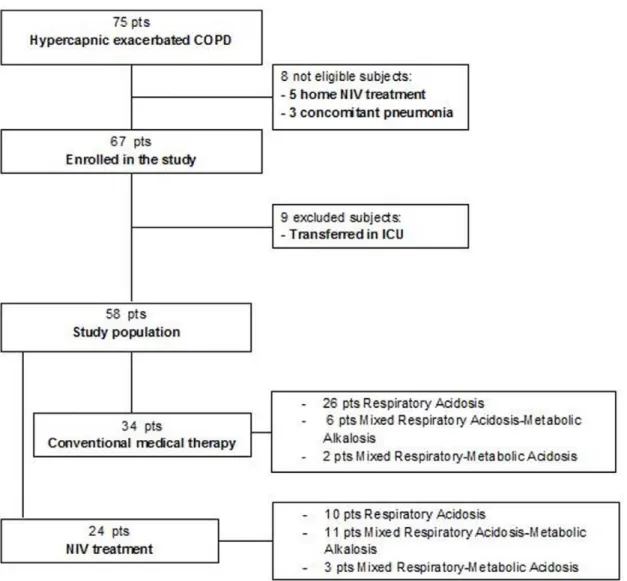 Figure 1. Flow chart of the consecutive COPD patients with acute hypercapnic exhacerbation enrolled in the study.