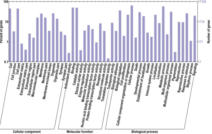 Fig 1. GO distribution of the T. tridentatus unigenes. Go ontology distribution of the T