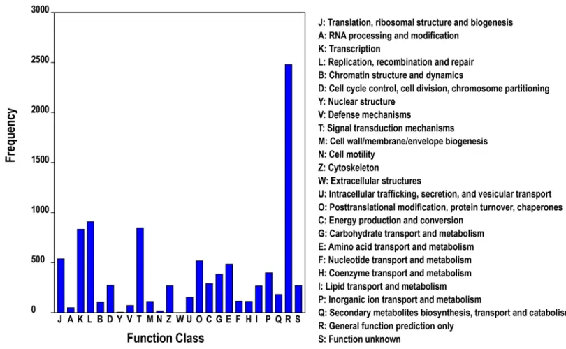 Fig 2. COG functional classification of the T . tridentatus transcriptome.