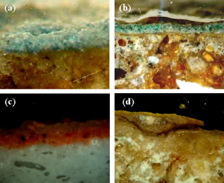 Fig. 2.  Optical photomicrographs obtained by the stereomicroscope and polarized light microscope (PLM)   on the polished cross-sections of the painted plasters