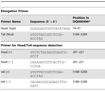 Table 3. Primer combinations used in the amplification assays for the detection of putative intermediate structures.