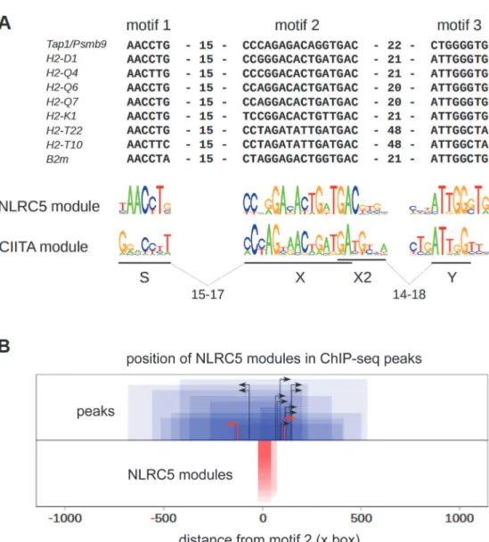 Fig 5. Identification of a sequence module for selective NLRC5 recruitment. (A) Alignment of sequence motifs situated within NLRC5-occupied peaks found in promoter regions of the indicated genes