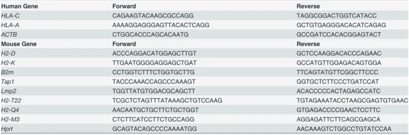 Table 3. Primers used for qRT-PCR analysis
