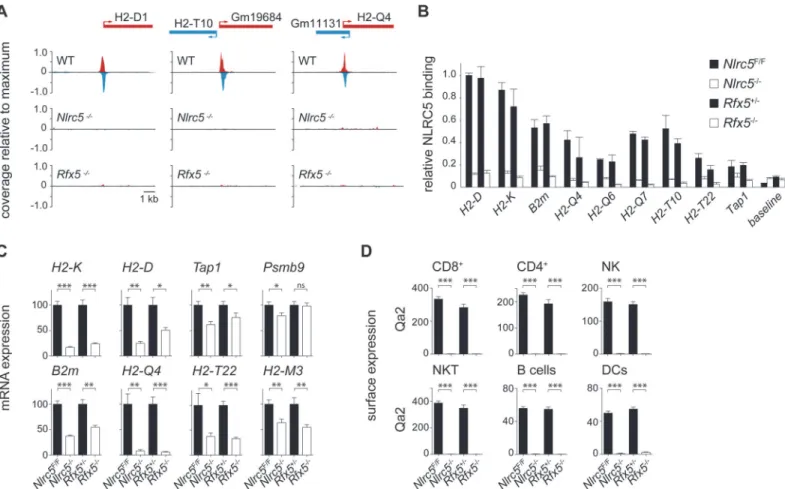 Fig 3. Identification of NLRC5 targets. (A) NLRC5-ChIPseq tracks are shown for H2-D1, H2-T10/Gm19684 and Gm11131/H2-Q4
