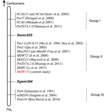 Figure 4. Integrative views of the MlIW172 gene loci with other previously published Pm genes on chromosome arm 7AL