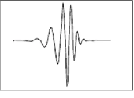 Figure 8- Wavelet 