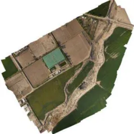 Figure 7. Ortho-mosaic 