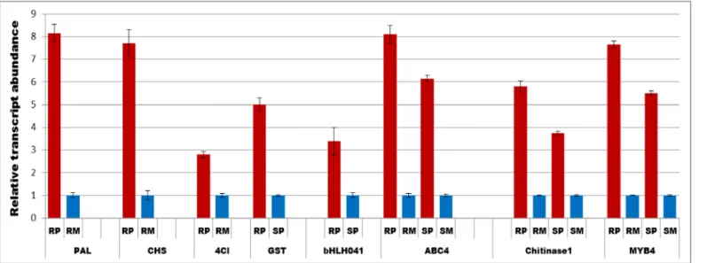 Fig 5. Quantitative Real time PCR (qRT-PCR) showing transcript abundances of selected genes at 48 h post F