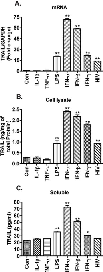 Figure 5. IFNs are potent stimulators of TRAIL expression in macrophages. Human MDM were infected with HIV-1 or stimulated with different inflammatory cytokines IL-1b (50 ng/ml), TNF-a (100 ng/