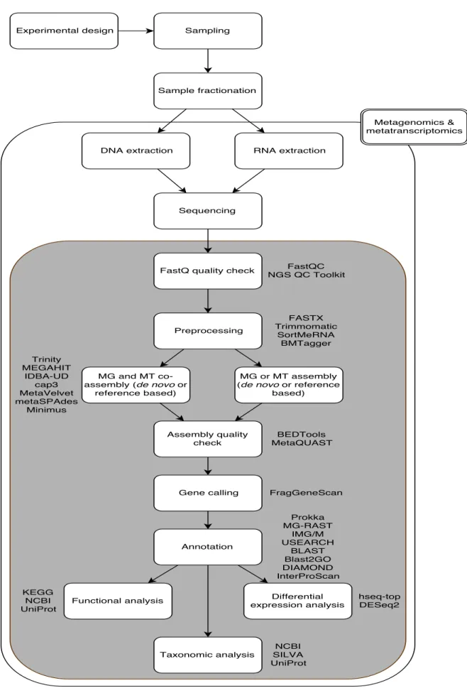Figure 2 : Typical Meta-Omics pipeline workflow, from the laboratory to the bioinformatics process- process-ing steps