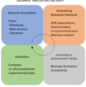Figure 1: GiSMo reconstruction schema