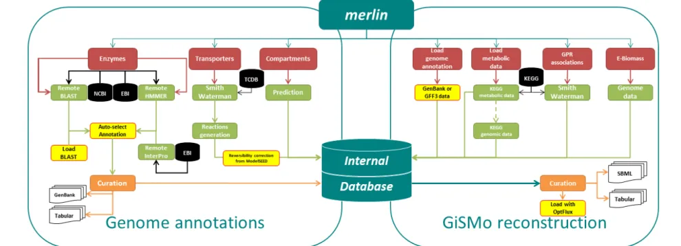 Figure 2: Improved merlin schema