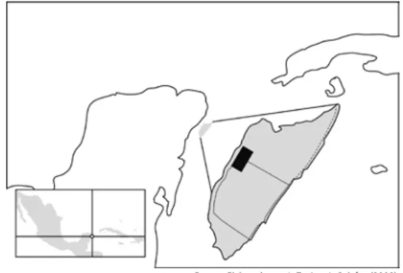 Figura 1    |     Isla de Cozumel.