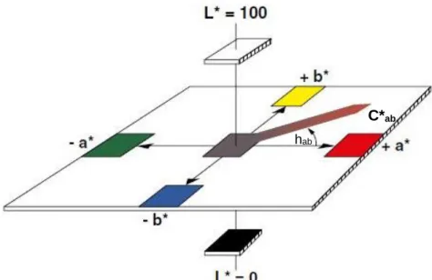 Figure 1.7. Schematic representation of the coordinate system that make the tree-dimensional CIE  1976 (L*a*b*) color space (adapted form [115])